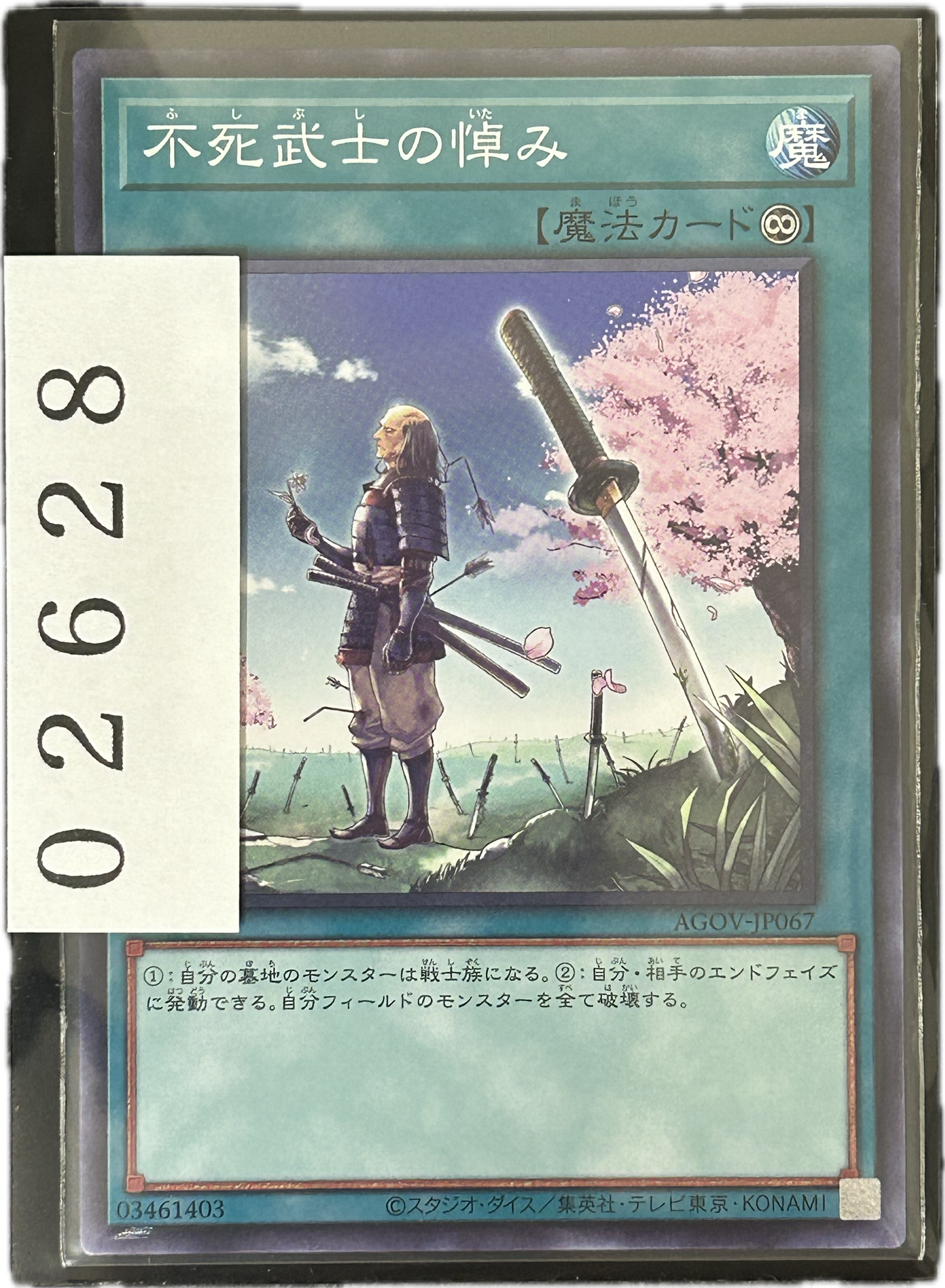ストレージ①-02628