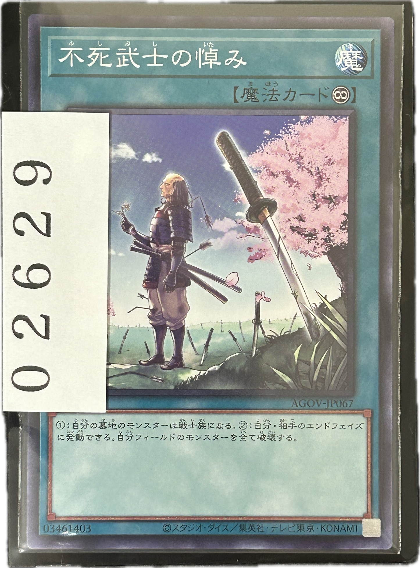 ストレージ①-02629