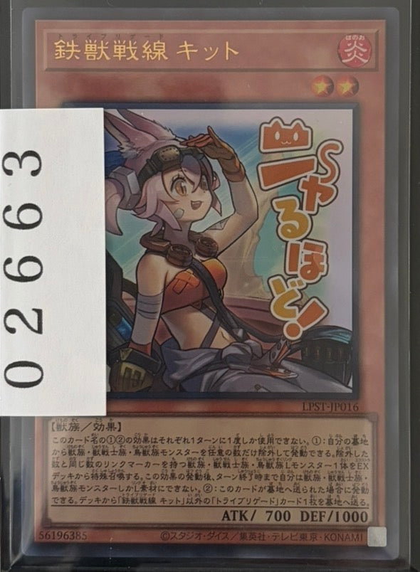 ストレージ①-02663