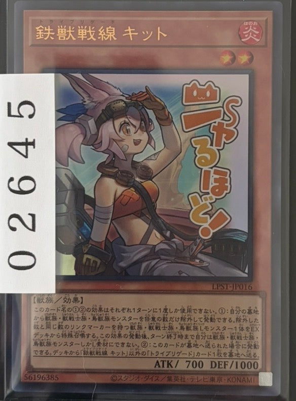 ストレージ①-02645