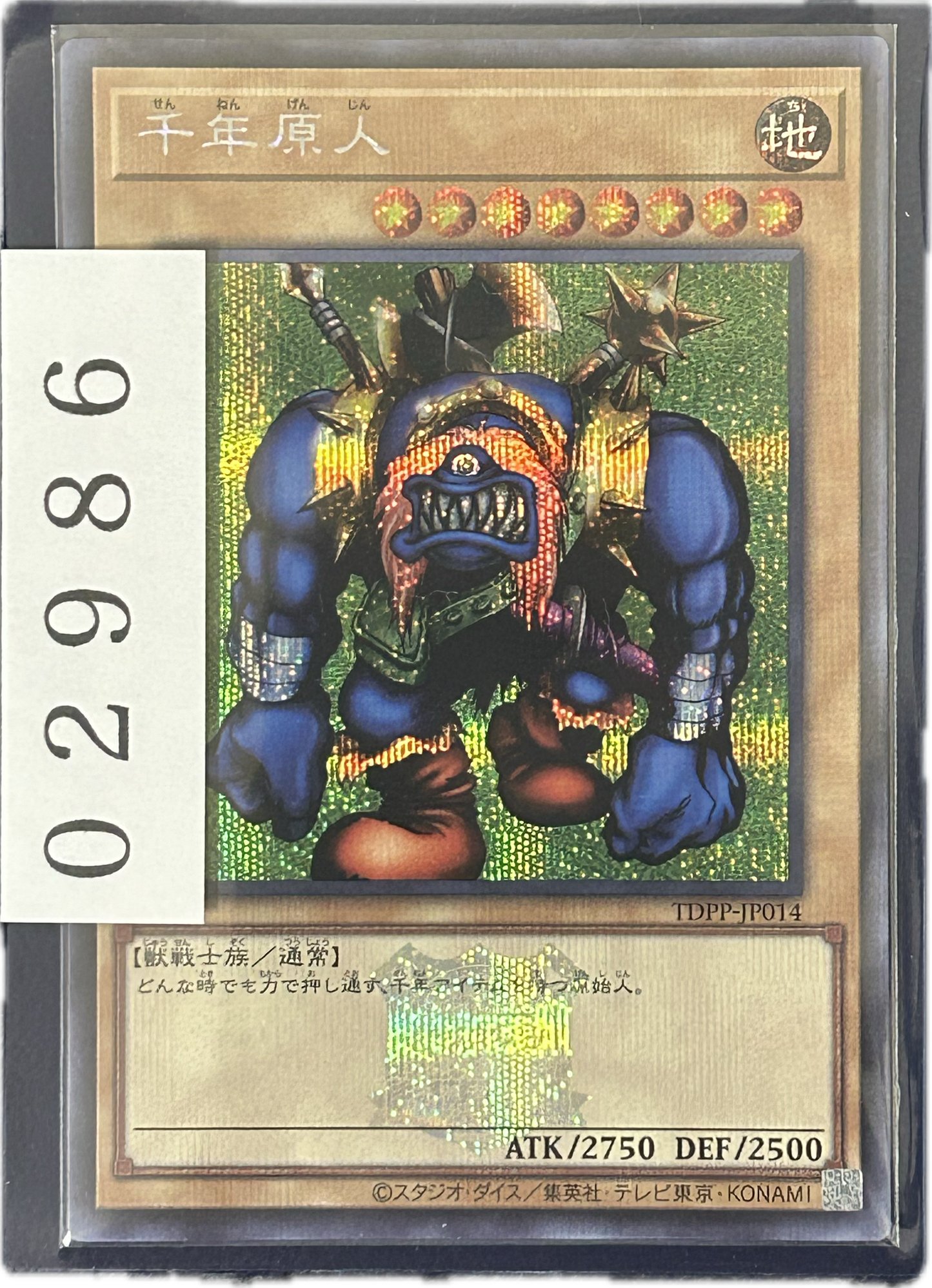 ストレージ①-02986