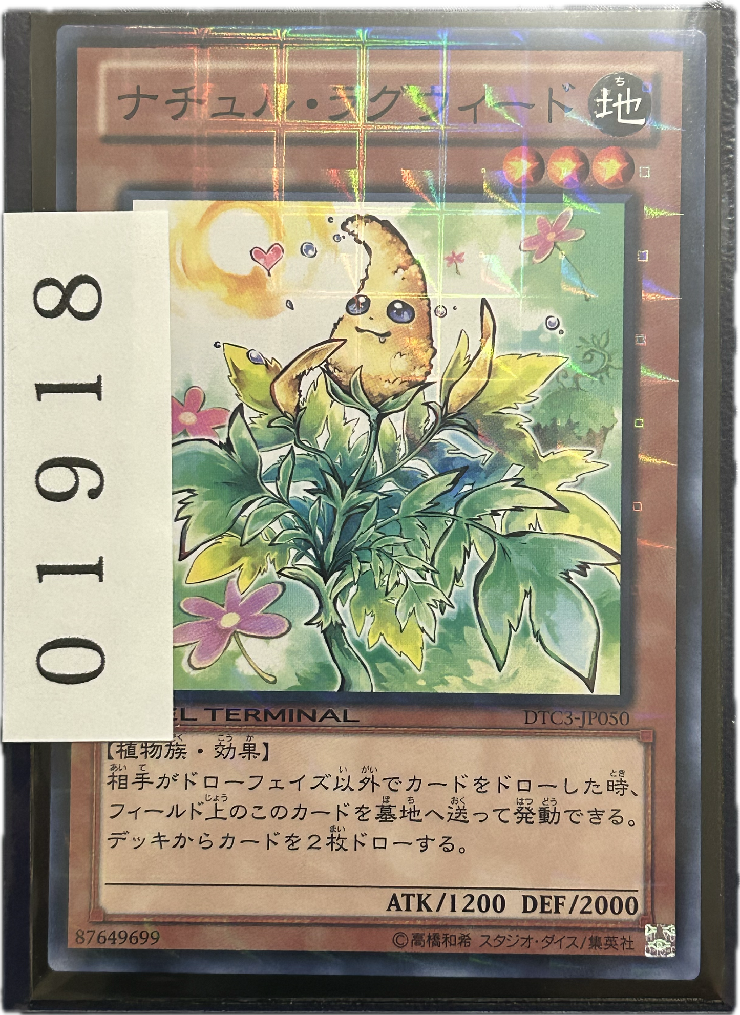 ストレージ①-01918