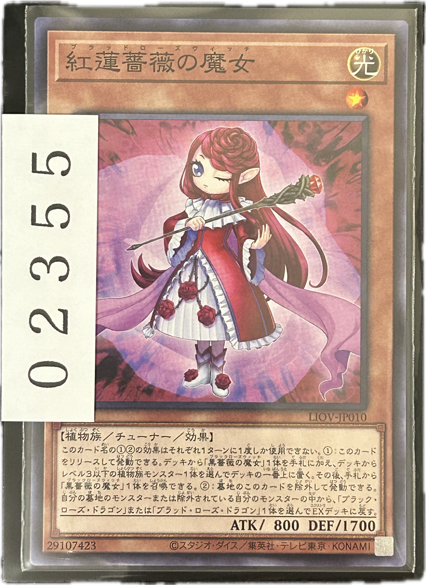 ストレージ①-02355