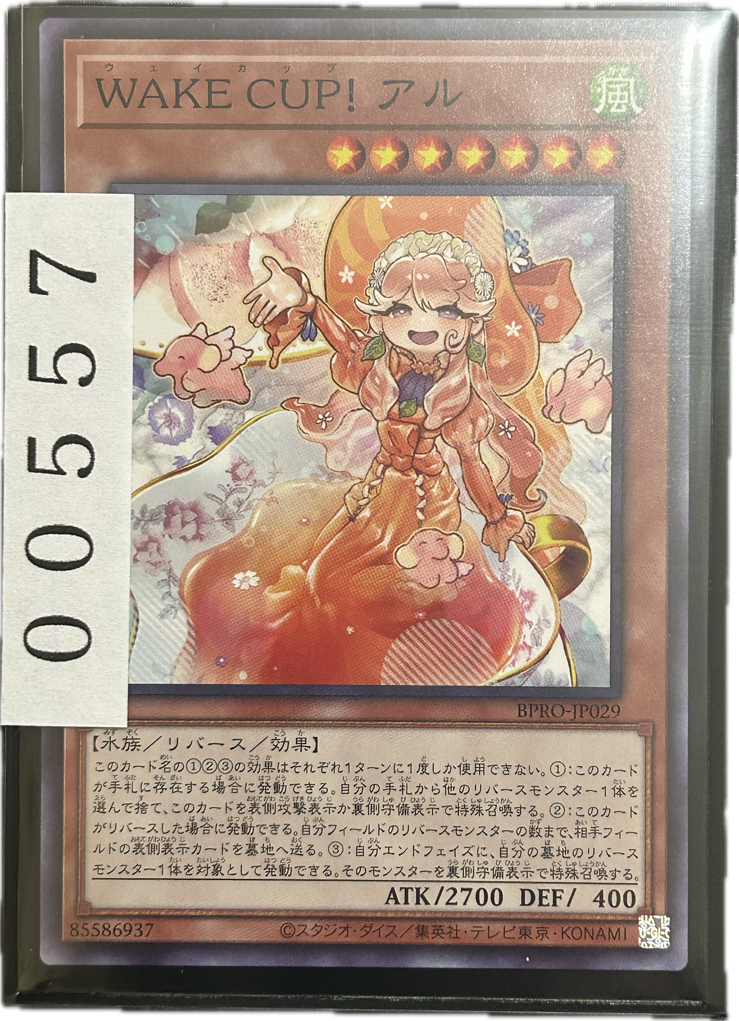ストレージ①-00557