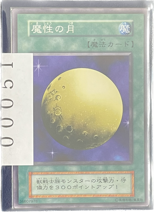 ストレージ①-00051