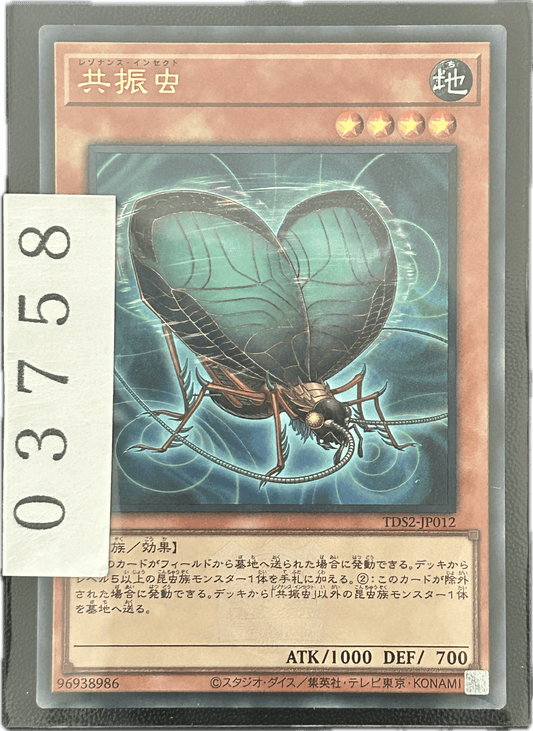 ストレージ① - 03758 - カードショップ　ガチャオンstorage