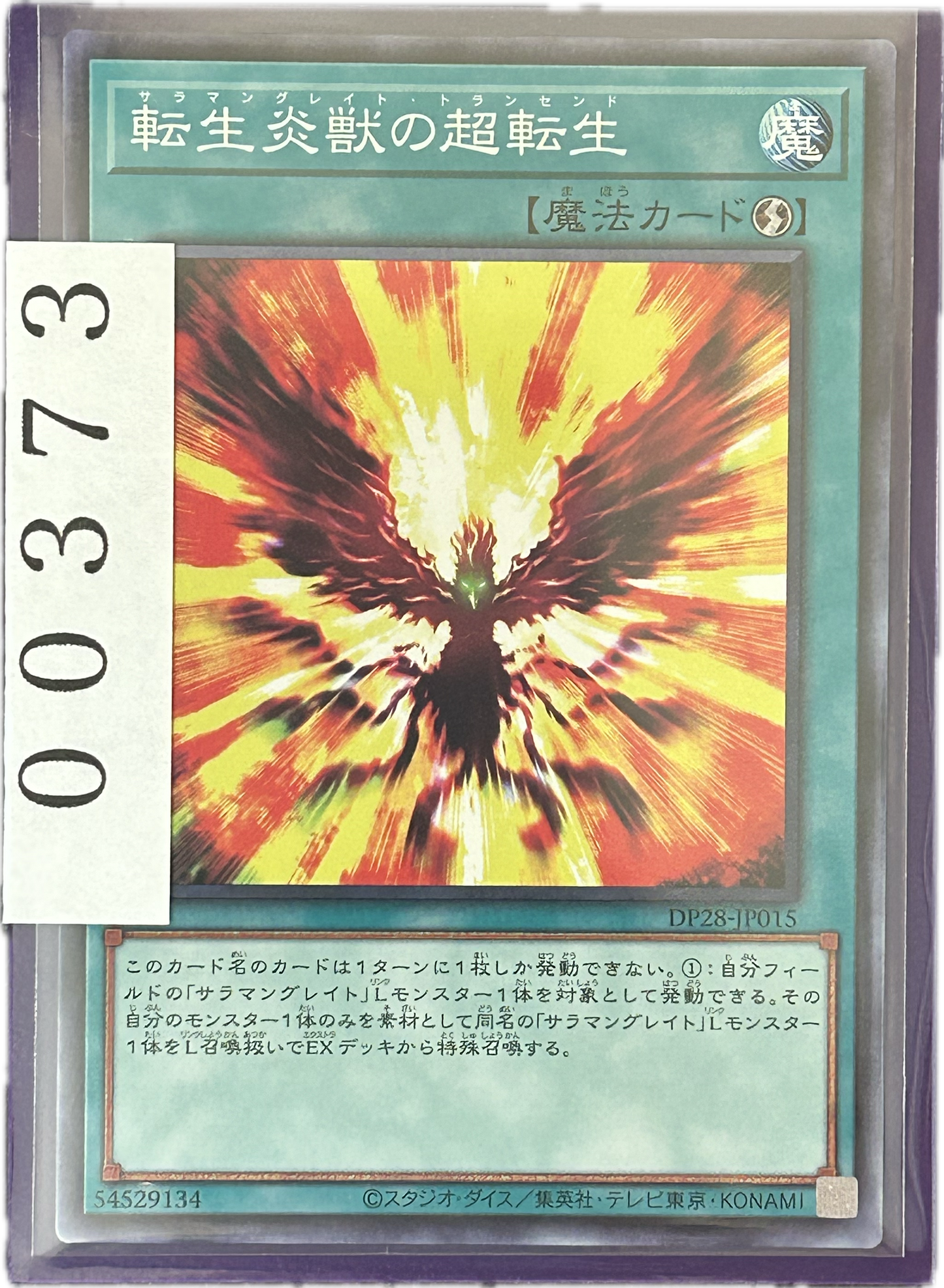 ストレージ①-00373