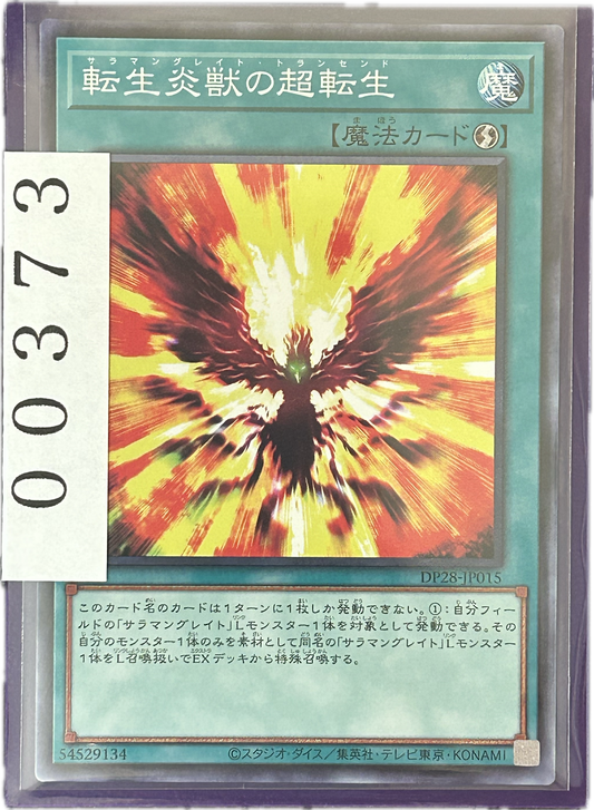 ストレージ①-00373