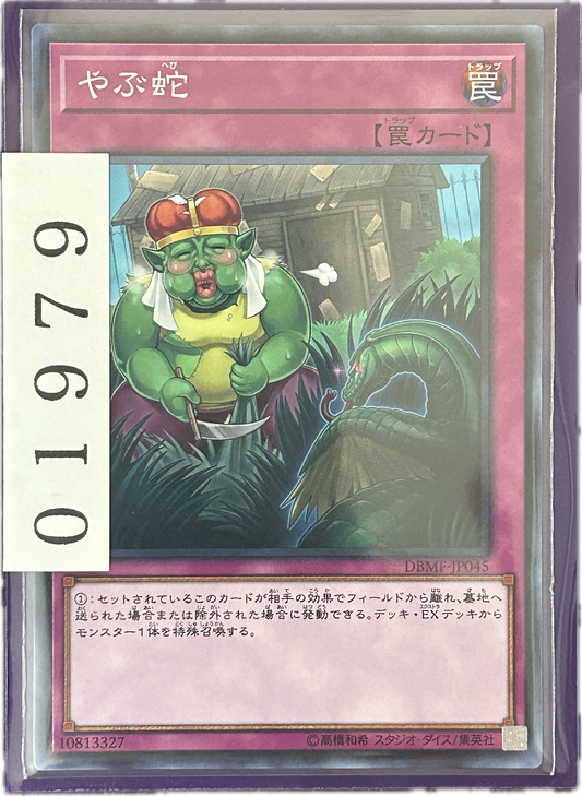 ストレージ①-01979