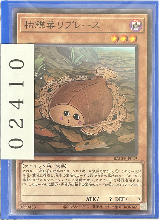 ストレージ①-02410