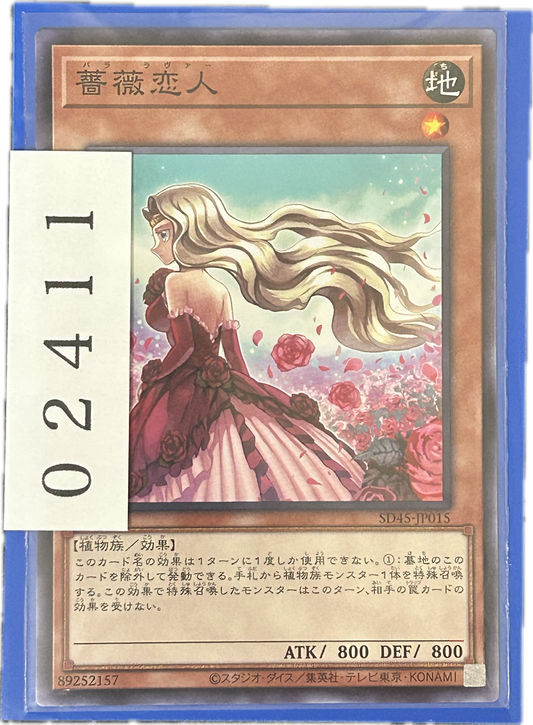 ストレージ①-02411