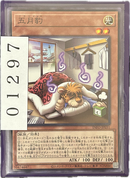 ストレージ①-01297