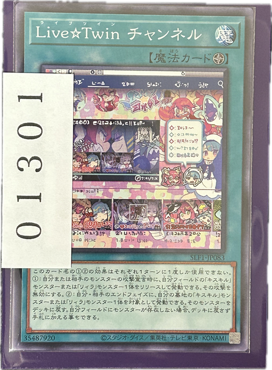 ストレージ①-01301