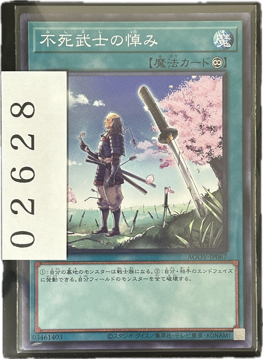 ストレージ①-02628