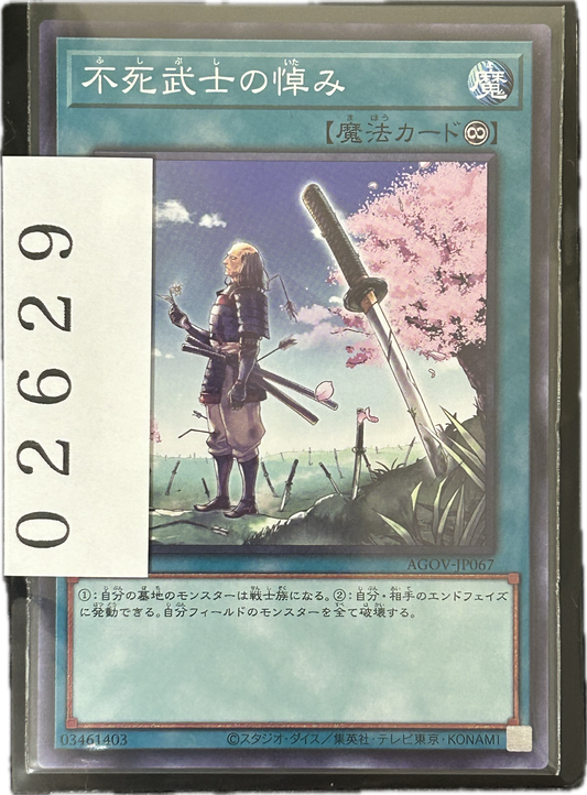 ストレージ①-02629