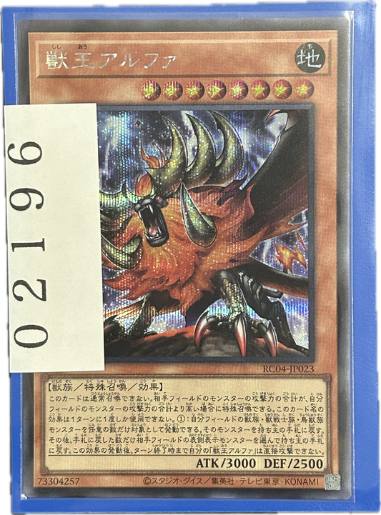 ストレージ①-02196