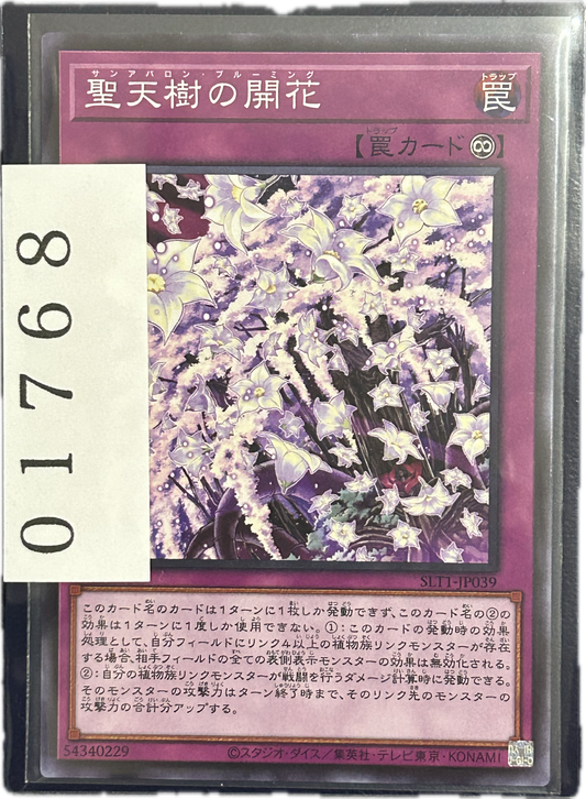 ストレージ①-01768