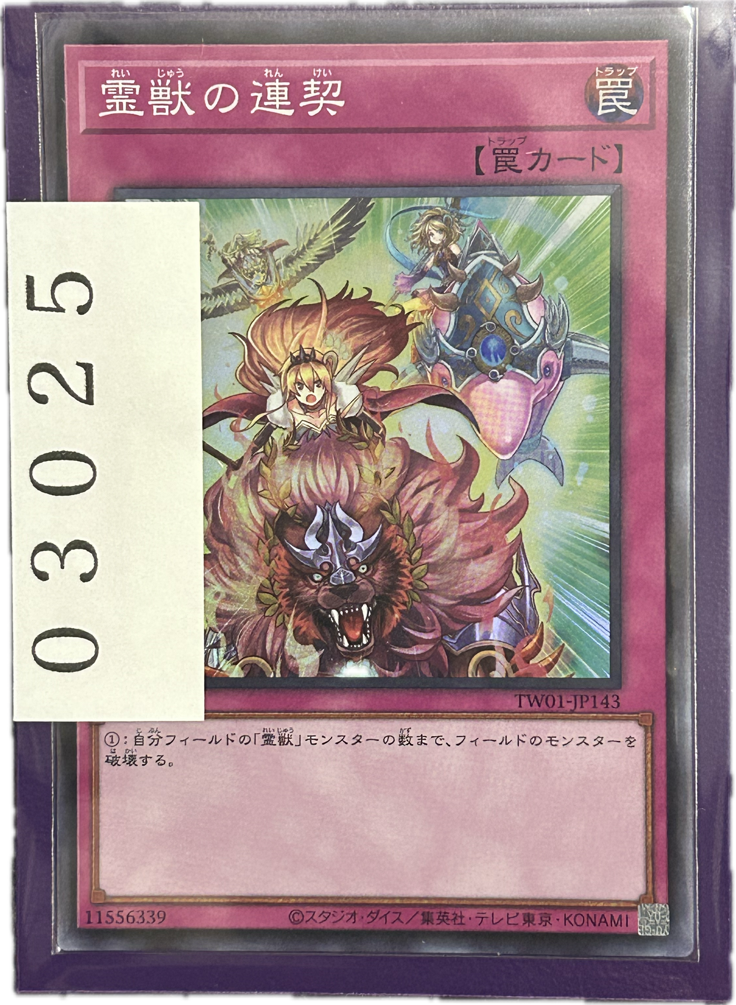 ストレージ①-03025