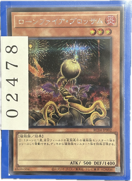 ストレージ①-02478