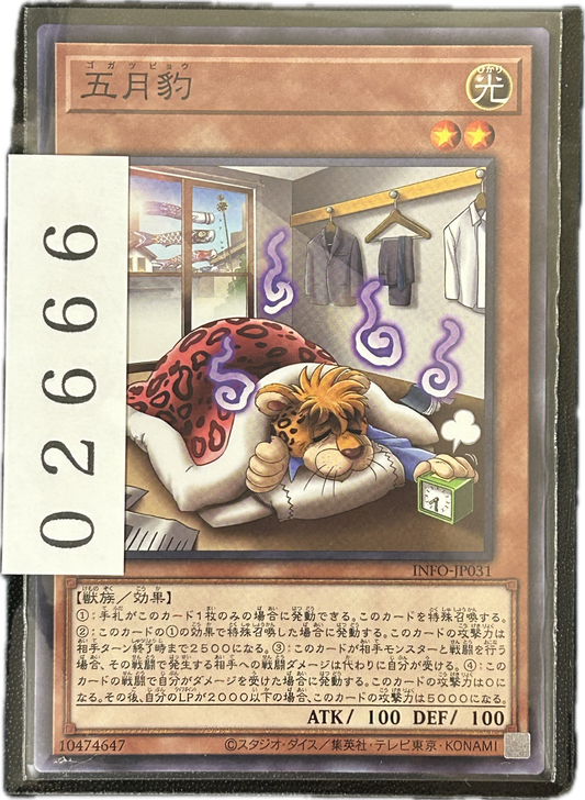 ストレージ①-02666