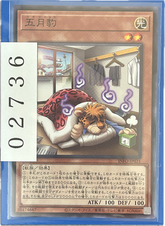 ストレージ①-02736