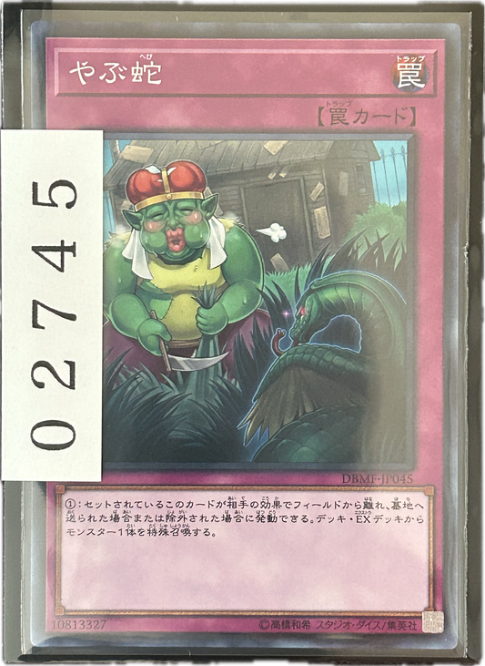 ストレージ①-02745