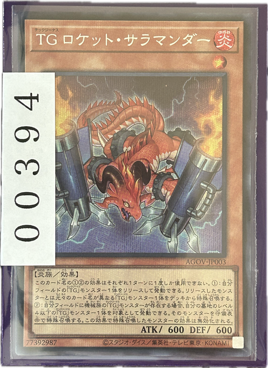 ストレージ①-00394