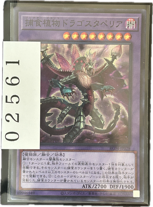 ストレージ①-02561