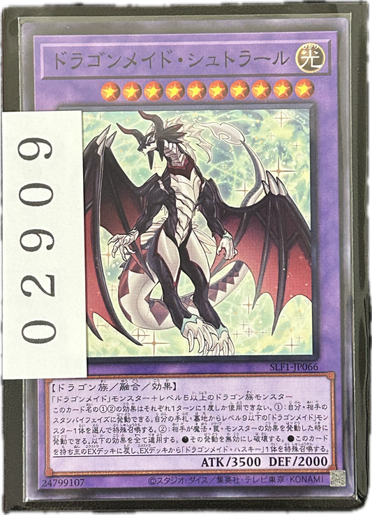 ストレージ①-02909