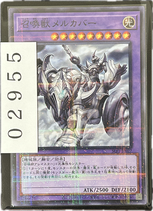 ストレージ①-02955