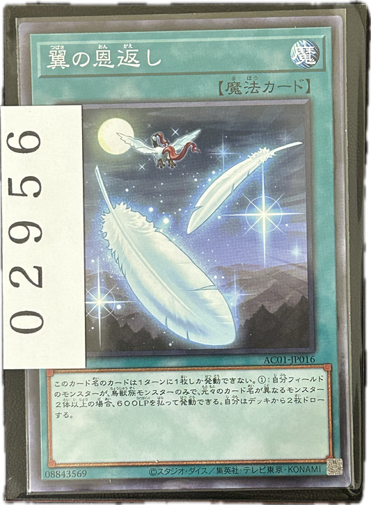 ストレージ①-02956