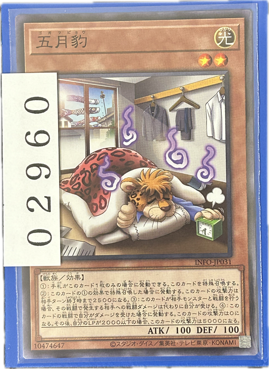 ストレージ①-02960
