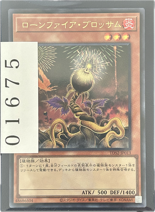 ストレージ①-01675
