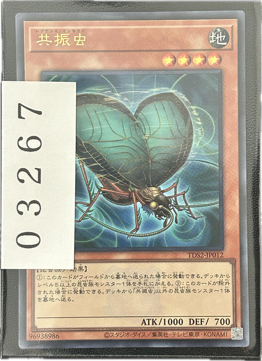 ストレージ①-03267