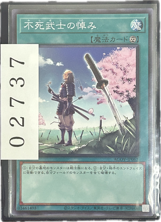 ストレージ①-02737