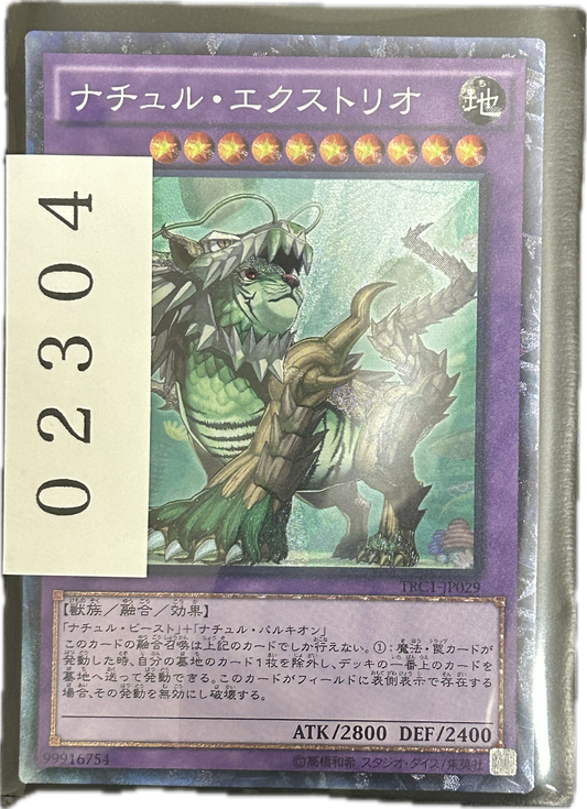ストレージ①-02304