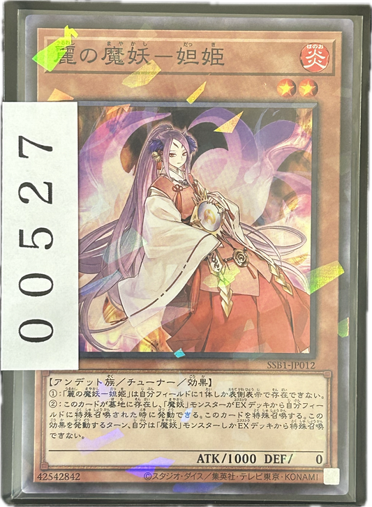 ストレージ①-00527
