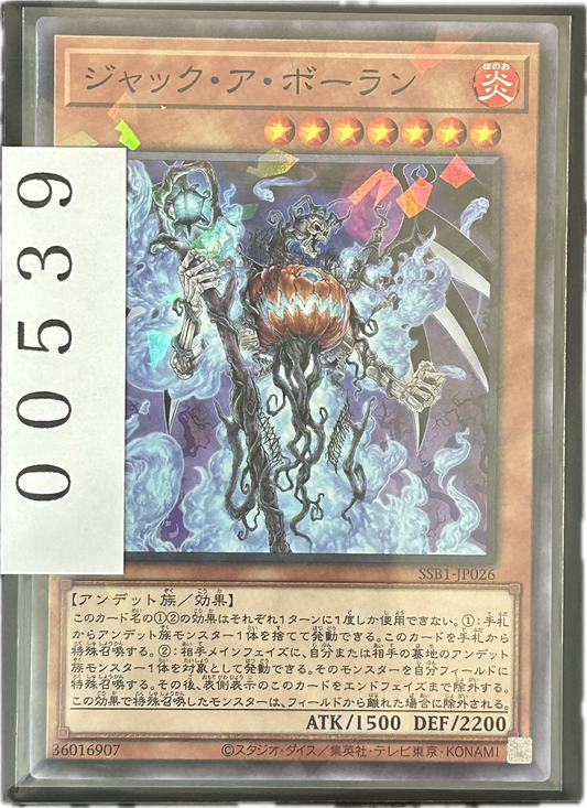 ストレージ①-00539