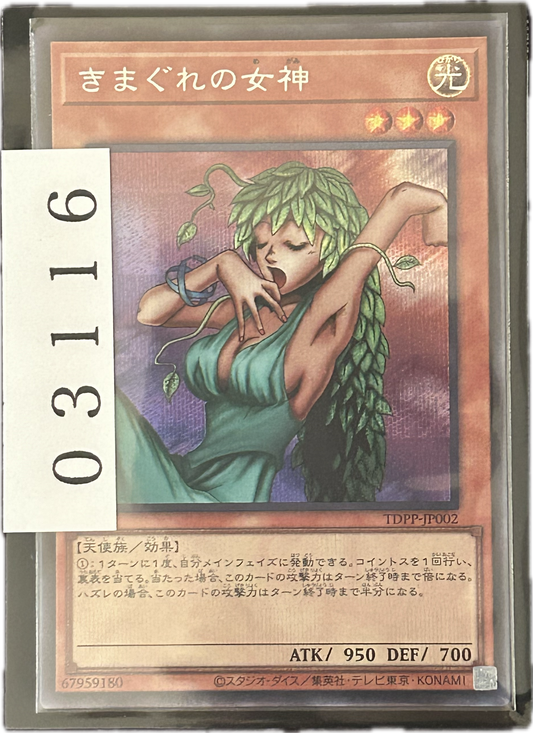 ストレージ①-03116
