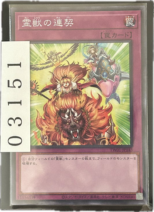 ストレージ①-03151