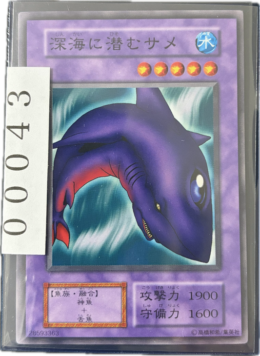 ストレージ①-00043