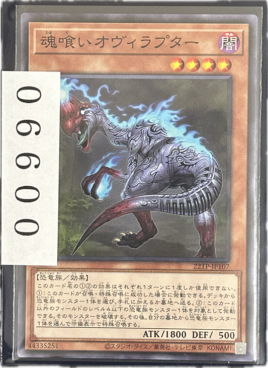 ストレージ①-00990