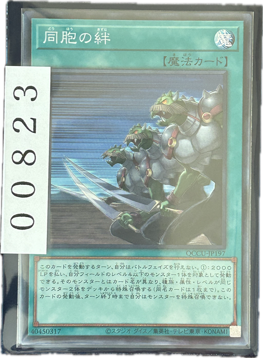 ストレージ①-00823