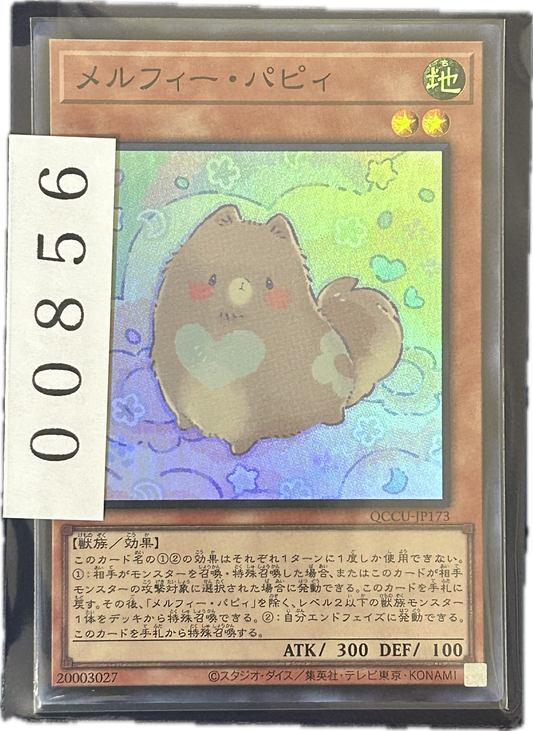 ストレージ①-00856