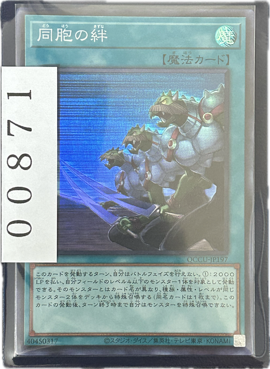 ストレージ①-00871