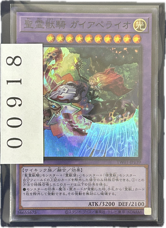 ストレージ①-00918