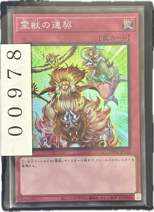 ストレージ①-00978