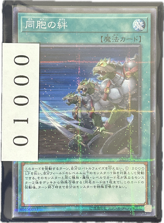 ストレージ①-01000