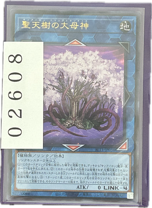 ストレージ①-02608