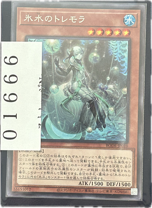 ストレージ①-01666